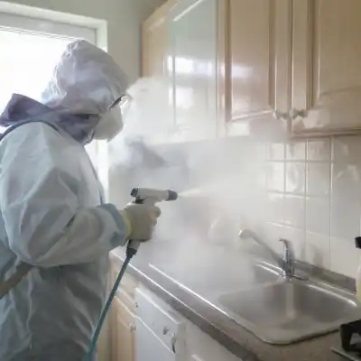 Гигиеническая чистка кухни в квартире